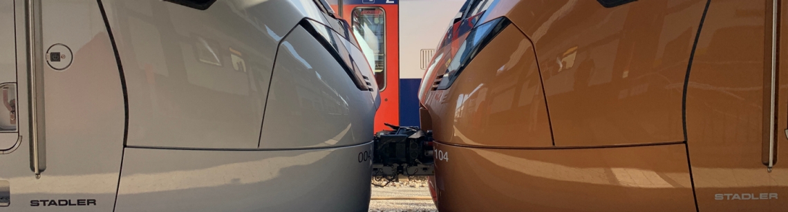 Symbolbild; zwei Züge an einem Bahnhof